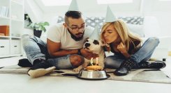 ¿Es malo ver a las mascotas como si fueran hijos?/Foto: internet