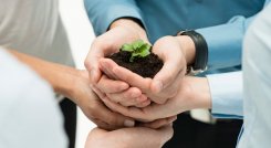 Sostenibilidad en las empresas