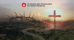 El drama del Catatumbo en Siete Palabras