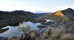Páramo de Santurbán.