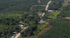 Del Catatumbo salieron desplazados hace tres meses más de 60.000 personas/Foto cortesía