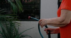 PATIOS-ACUEDUCTO.