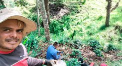 El agricultor Jhon Pabón, de Ragonvalia, en el cultivo./ Foto Cortesía