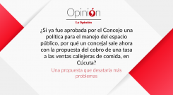 Una propuesta que desataría más problemas