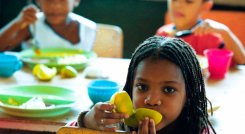 Desnutrición infantil 