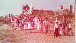 Barrio Tucunaré (parte baja)