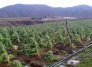 Campesinos reciben capacitación sobre finanzas agropecuarias para mejorar las condiciones de vida./ Foto cortesía
