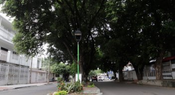 La avenida Los Faroles es uno de los lugares de la ciudad, pionera a nivel nacional, en zonas verdes con túneles árboreos 
