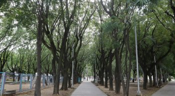 Prados del Norte cuenta con 5 escenarios públicos, entre espacios verdes y deportivos, a los que acude la comunidad. / Fotos: Luis Alfredo Estévez 