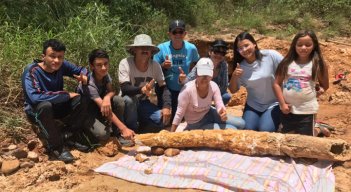 La pieza fosilizada es un colmillo de un Haplamastodon, un mastodonte americano de la Era Cuaternaria. / Foto: Cortesía