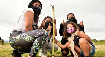 33.600 árboles nuevos se sembrarán en Cúcuta./Foto cortesía