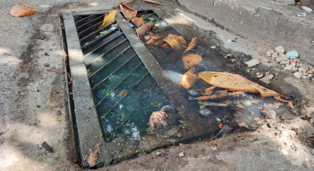 Las aguas negras rebosan la alcantarilla