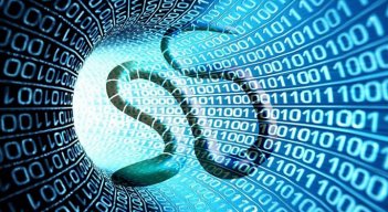 Gusano informático.