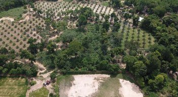 Corregimiento de Palmarito./Foto cortesía