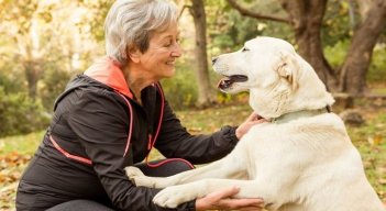 Ventajas de que adultos mayores tengan un perro./Foto: internet