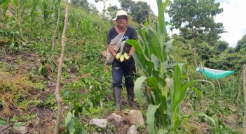 Policultivo de maíz y pimentón/Foto: Cortesía/La Opinión.