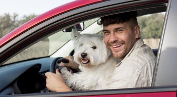 Mascotas en carros /Foto: Cortesía