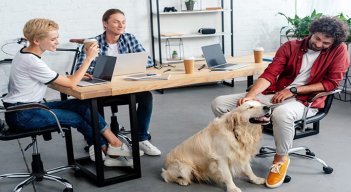 Mascotas en el trabajo. 