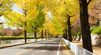 Una ciudad con una infraestructura verde bien planificada y bien administrada se vuelve más sostenible