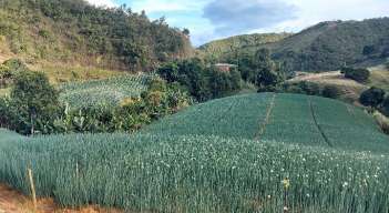 Uno de los instrumentos para consolidar los sistemas productivos en el territorio ha sido la asociatividad, como una herramienta sólida de participación./ Fotos Cortesía.