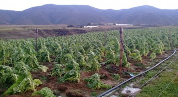 Campesinos reciben capacitación sobre finanzas agropecuarias para mejorar las condiciones de vida./ Foto cortesía