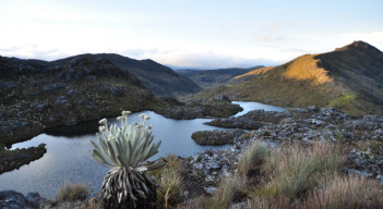 Páramo de Santurbán.