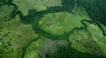 Deforestación en la Amazonía 