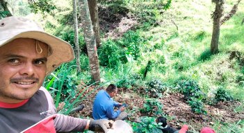 El agricultor Jhon Pabón, de Ragonvalia, en el cultivo./ Foto Cortesía