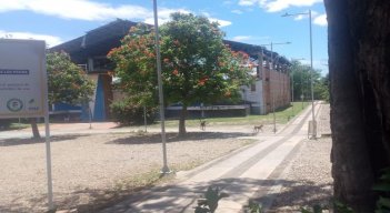patios-kilometro 8