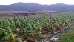 Campesinos reciben capacitación sobre finanzas agropecuarias para mejorar las condiciones de vida./ Foto cortesía
