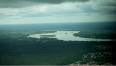 Amazonas