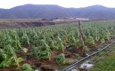 Campesinos reciben capacitación sobre finanzas agropecuarias para mejorar las condiciones de vida./ Foto cortesía