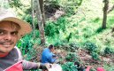 El agricultor Jhon Pabón, de Ragonvalia, en el cultivo./ Foto Cortesía