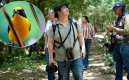 Avistamiento de aves en el parque Playa de Cúcuta. / Foto Carlos Ramírez y cortesía-La Opinión