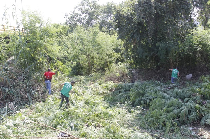 Buscan recuperar esta zona de inseguridad. Foto: Luis Alfredo Estévez/ La Opinión 