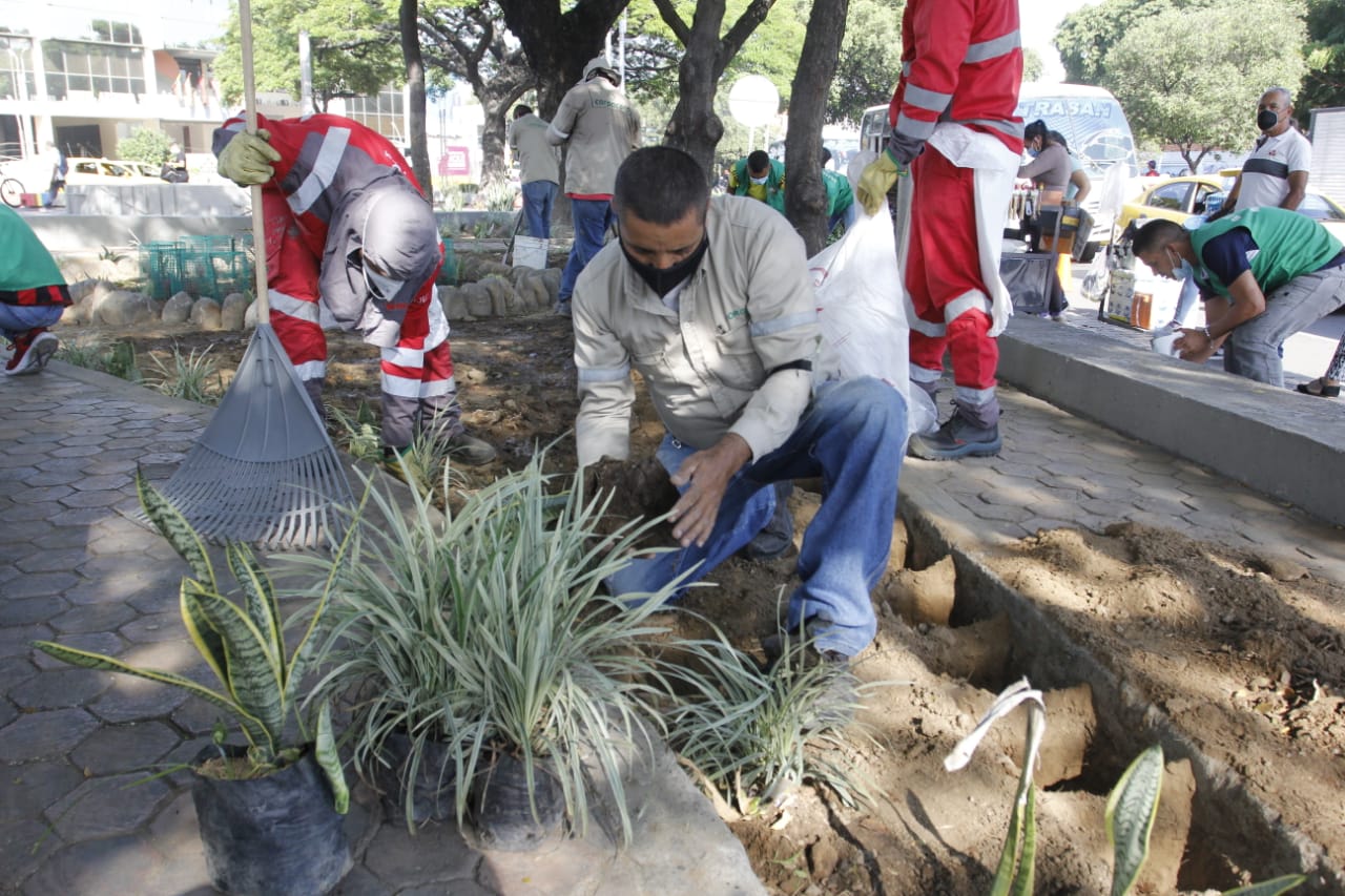 También se sembraron plantas para embellecer el lugar. 