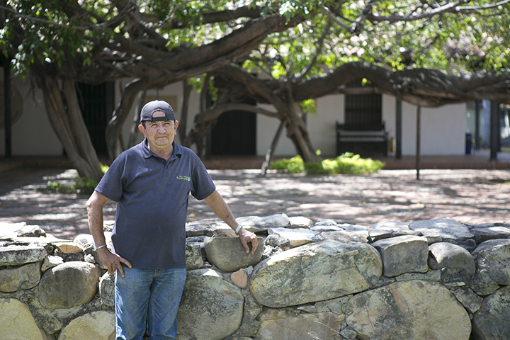 Francisco posa frente el imponente laurel hindú, conocido como el árbol caminante.