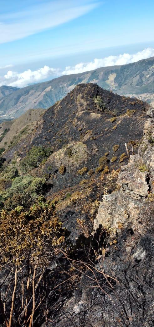 Así quedó la montaña que consumieron las llamas.