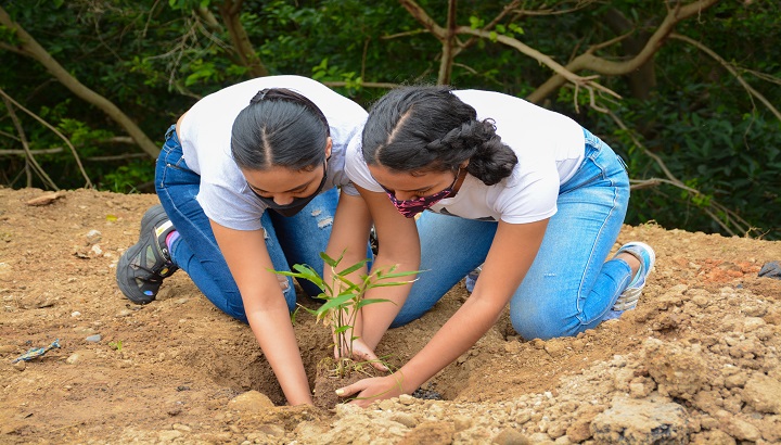 Plantaron 50 guaduas en la ribera del río en un espacio de 150 metros /Cortesía /Aguas Kapital