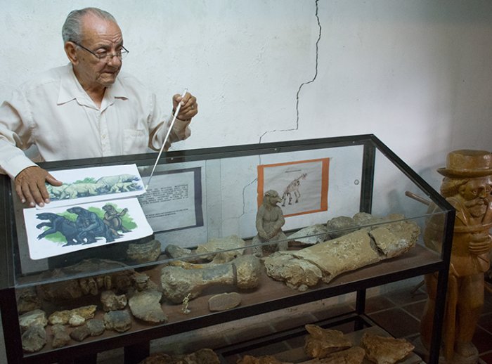 Restos de un megaterio, un oso perezoso de 6 metros que habitó en la zona hace más de 7000 años.