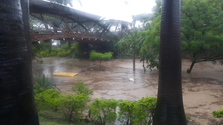 Un vehículo quedó atrapado debajo del puente de Guadua en la avenida Los Libertadores