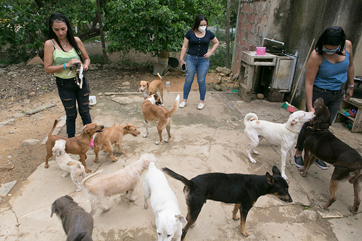 Víctor Caicedo considera necesario materializar el proyecto del Centro de Bienestar Animal de Cúcuta, pues contribuiría a salvaguardar muchas más vidas y reducir también las dificultades que viven los diferentes albergues . / Foto: Juan Pablo Cohen