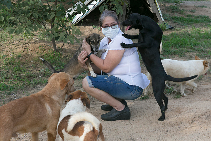 Para combatir el problema del abandono de perros y gatos es necesario impulsar la pedagogía para tratar de educar a la comunidad sobre la tenencia responsable  de mascotas y el cuidado animal, según el animalista Jairo Aguire, director de la Fundación Manantial. / Foto: Juan Pablo Cohen