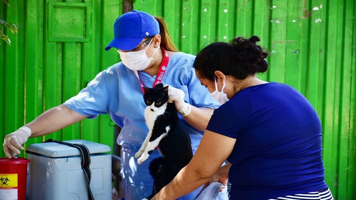Se espera también censar a los animales en alto grado de vulnerabilidad.