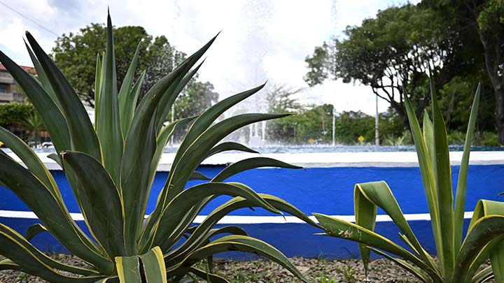 fuente Avenida Los Libertadores./Foto Jorge Gutíerrez