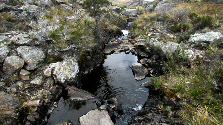 El agua cristalina corre entre piedras y riscos.