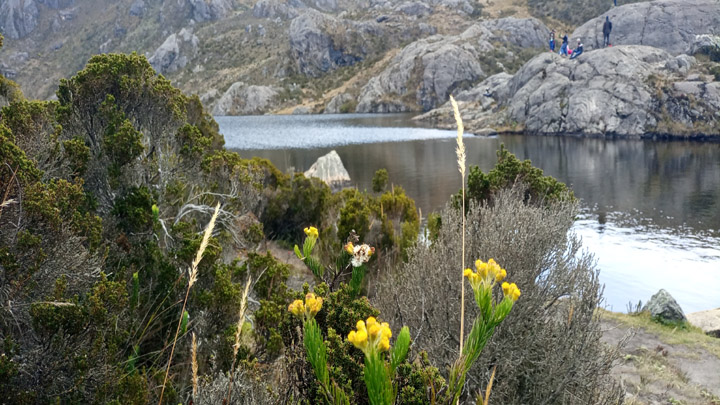 Constrastes de la naturaleza de Santurbán.