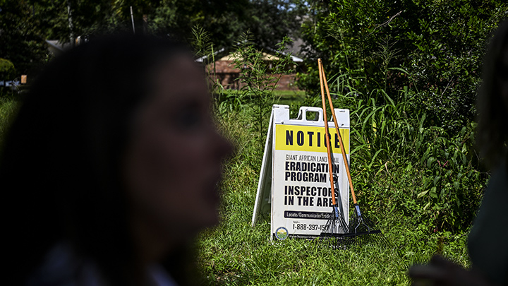 Empleados del Departamento de Agricultura de Florida instalaron un tablón de anuncios preventivos en un campo de inspección./Foto: AFP