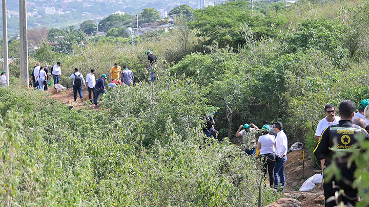 El sendero ecológico en la Subestación Eléctrica San Mateo de CENS está abierto a la comunidad. / Foto: Jorge Iván Gutiérrez