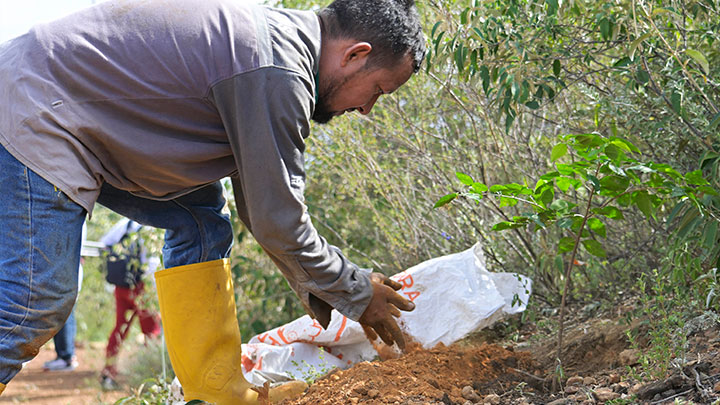 En el lugar se plantan especies nativas. / Foto. Jorge Iván Gutiérrez